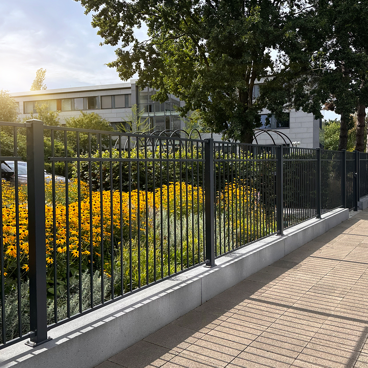 product-castellanus-01