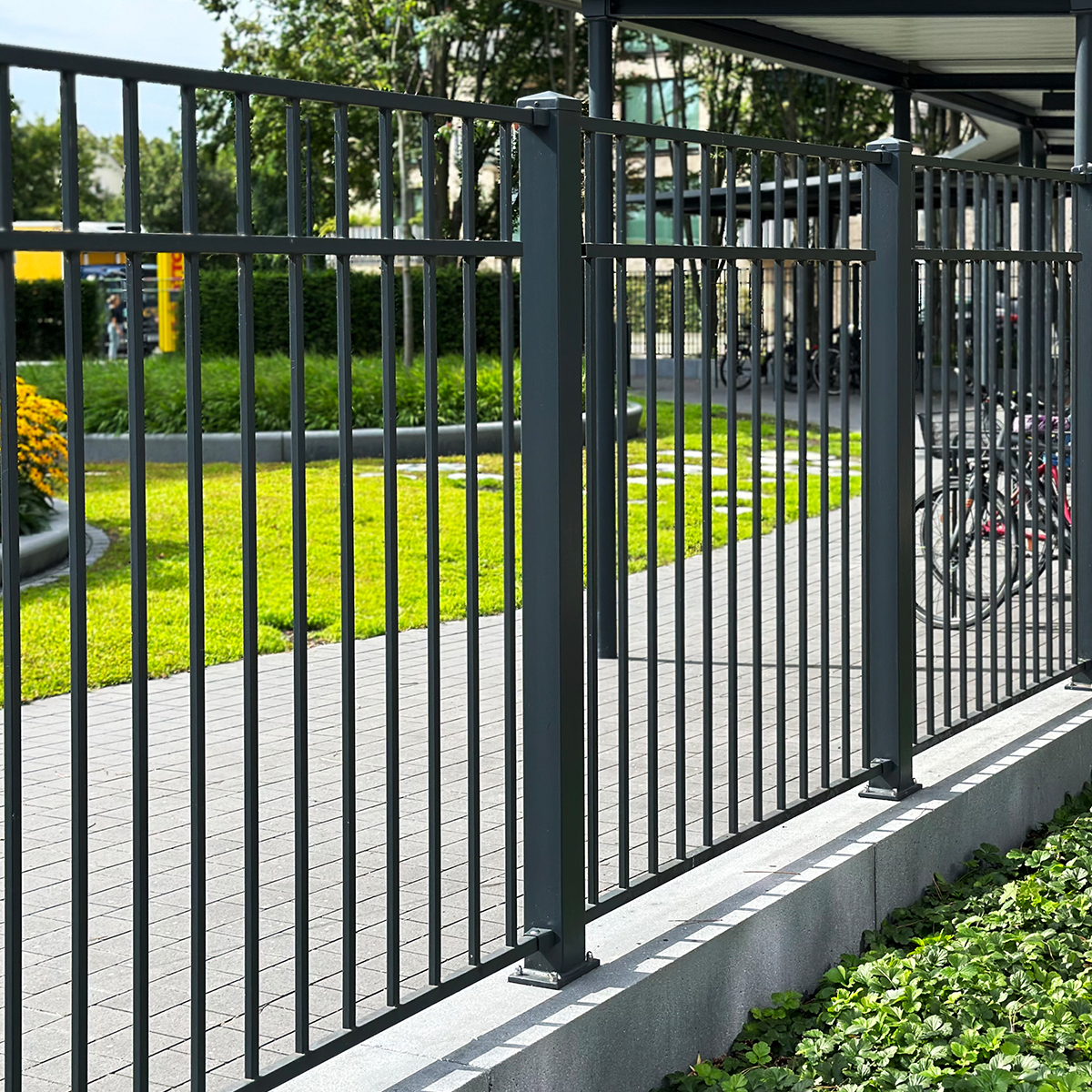 product-castellanus-02