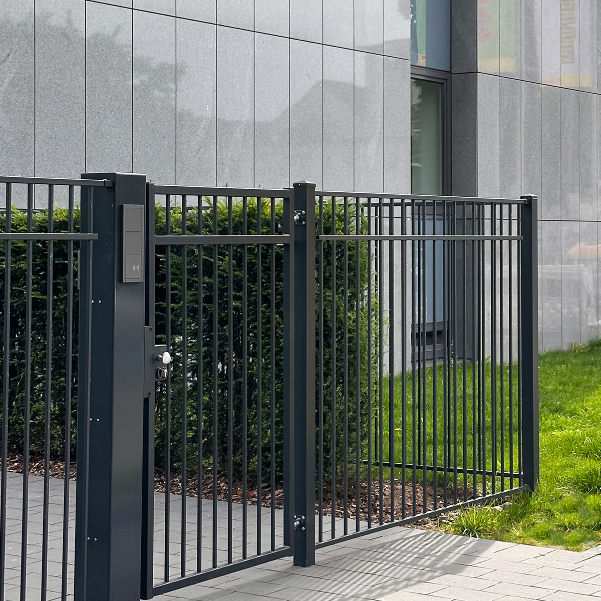 product-castellanus-04